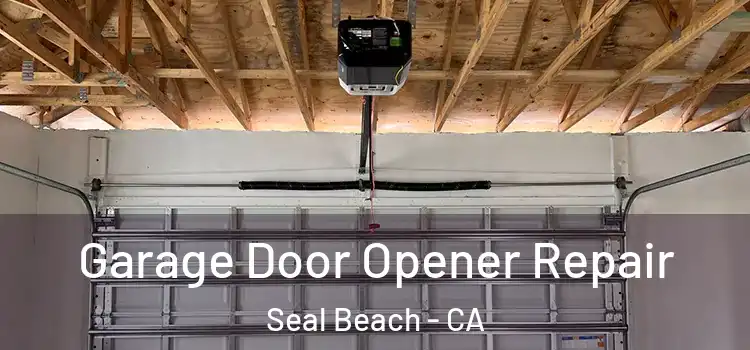  Garage Door Opener Repair Seal Beach - CA