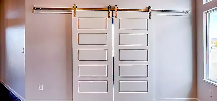 Glass Barn Door with Installation Hardware Kit Seal Beach
