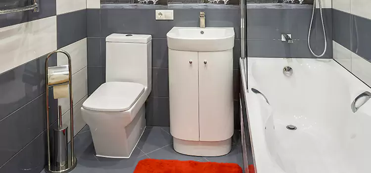 Hansgrohe Shaving Mirror Seal Beach